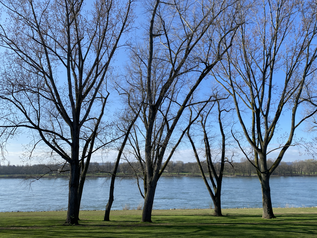 2024-03-09 Rhein 0060 k.JPG